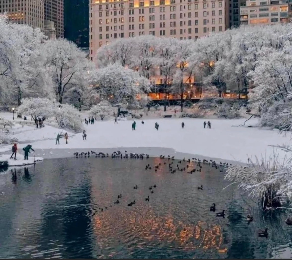 продажа двухкомнатной квартиры номер A-174623 в Приморском районе, фото номер 10